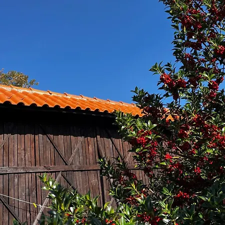Casa Do Eiro